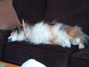 Thanks for the walk! Now goodnight!