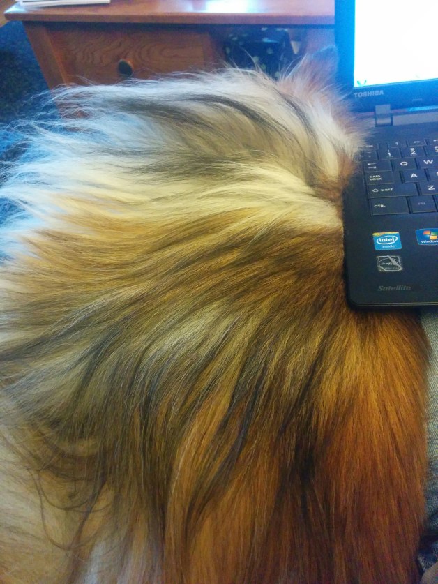 2016-09-30 17.07.39.jpg