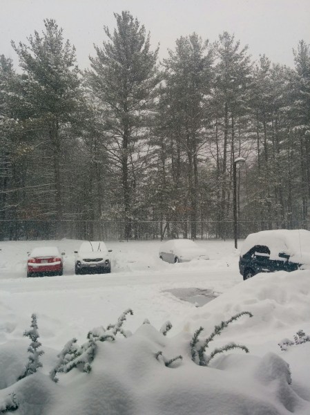 2017-02-12 14.06.26.jpg